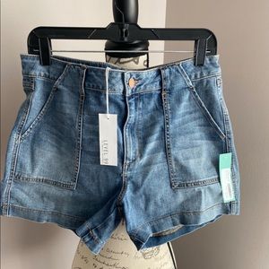 Level 99 Denim Shorts